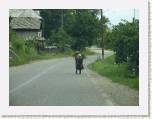 Maramures. Desesti. Trabajando.